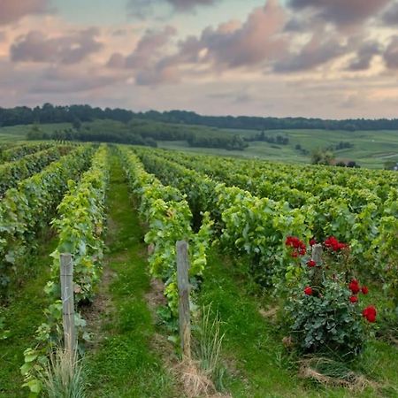Maison De Champagne F.Barbier ! Avize 外观 照片
