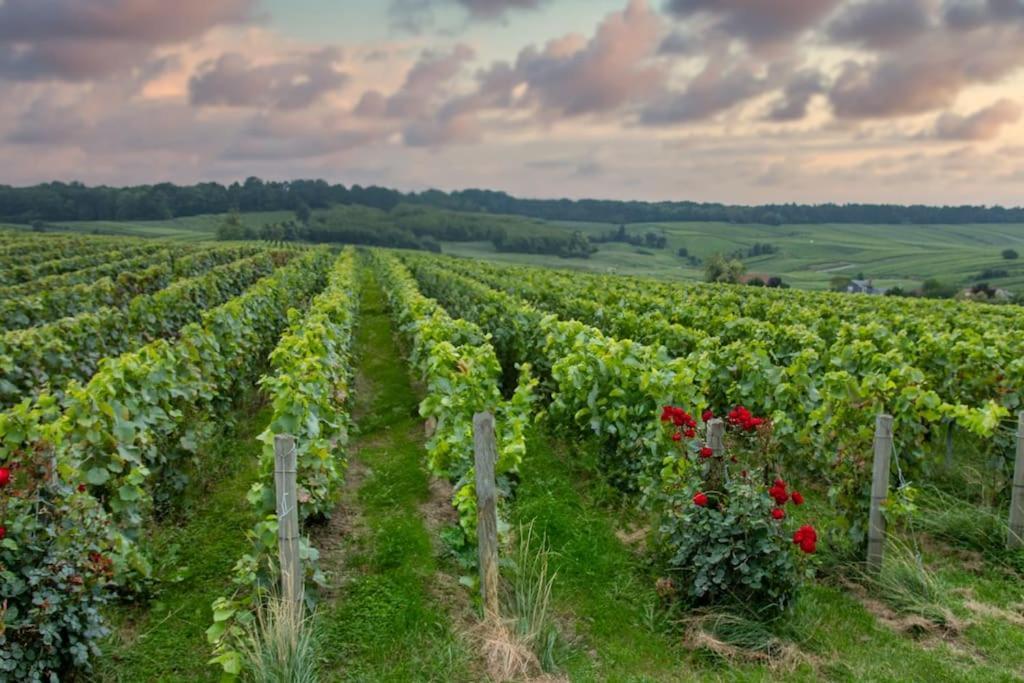 Maison De Champagne F.Barbier ! Avize 外观 照片